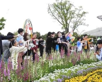 함평 나비축제_13