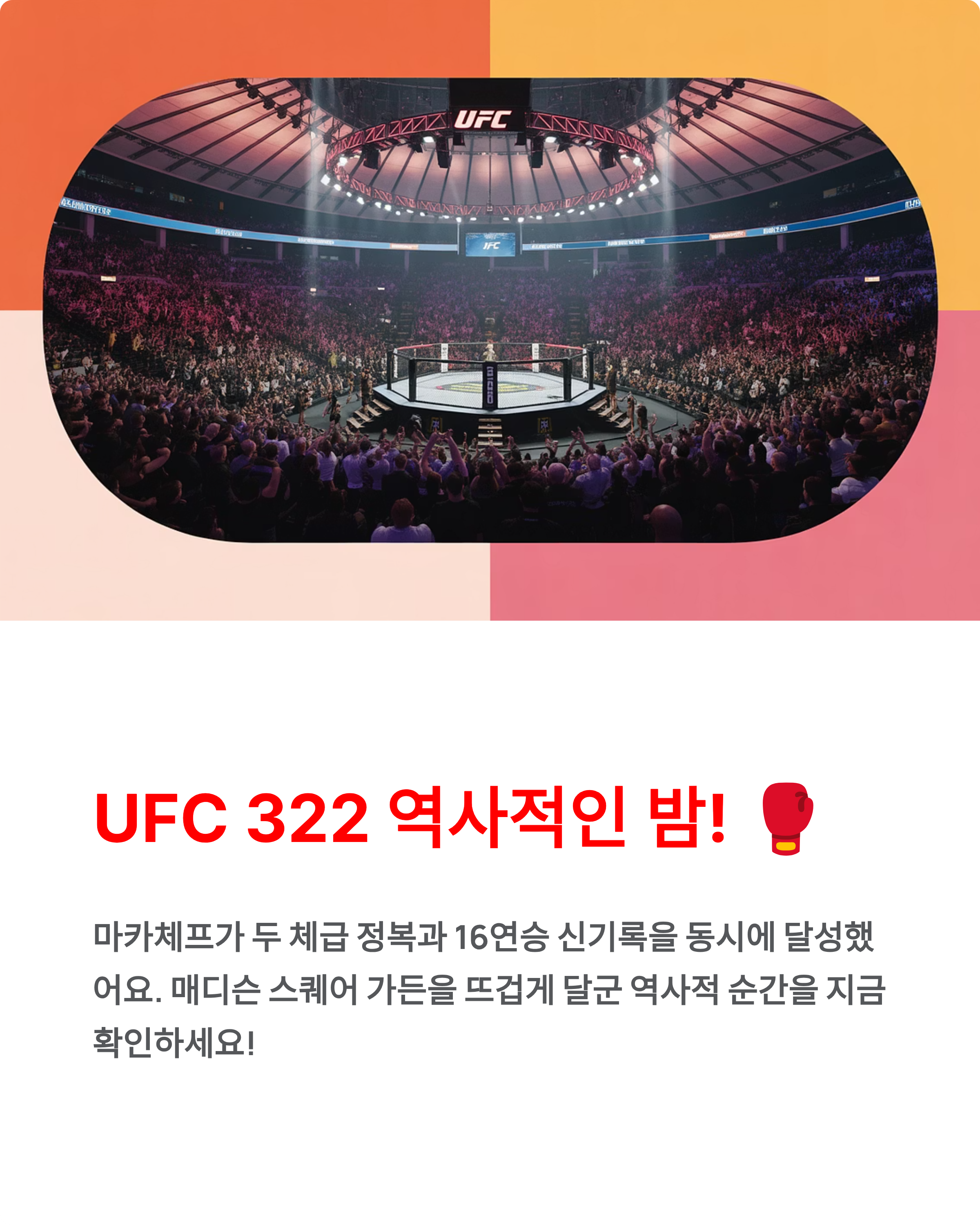 UFC 322 - 마카체프 두 체급 정복·16연승 완벽 정리! 🥊