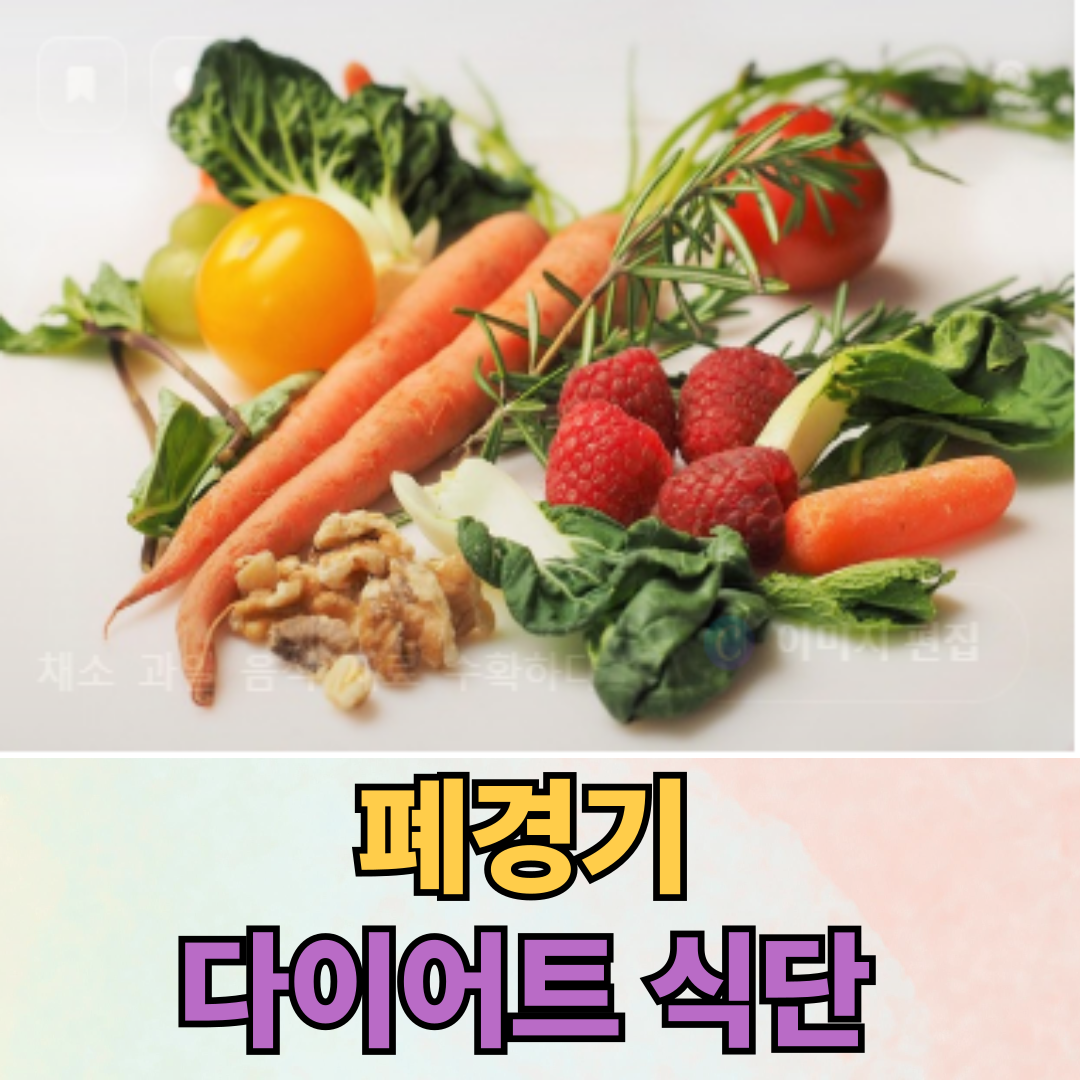 폐경기 다이어트