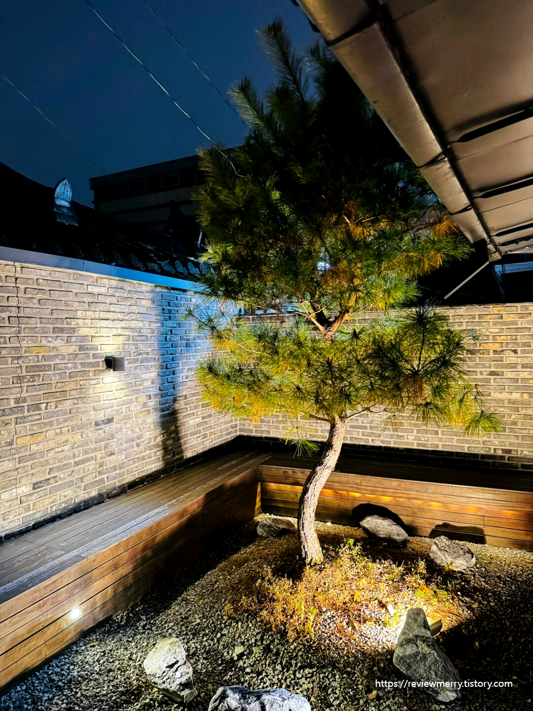 야간에 본 마당 소나무