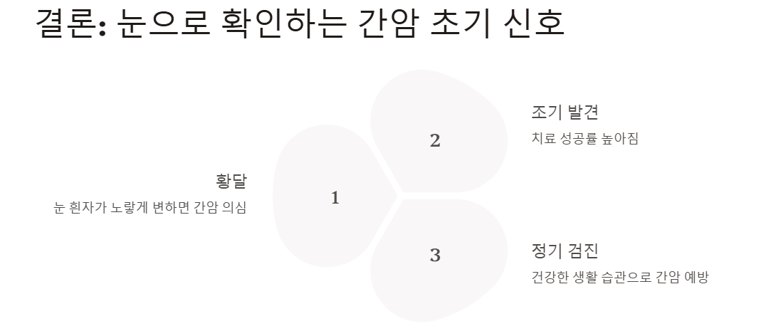 간암 초기일 가능성 높아요