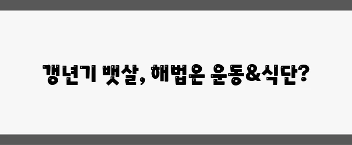 여성 갱년기 뱃살 원인과 빼는 법 효과적인 운동과 식단이 중요합니다
