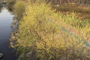 도심속휴식공원