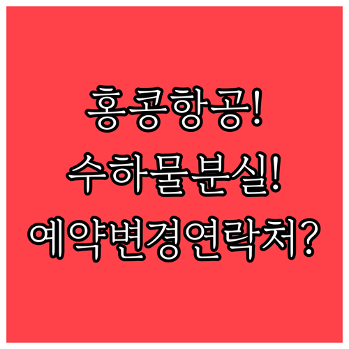 홍콩항공 수하물 분실 및 예약 변경 ..