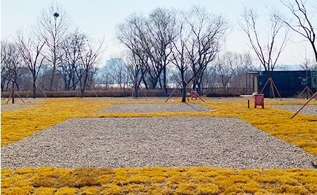 난지캠핑장 예약 방법 총정리! 가격, 시설, 이용 꿀팁까지