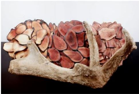 침향환-효능-가격