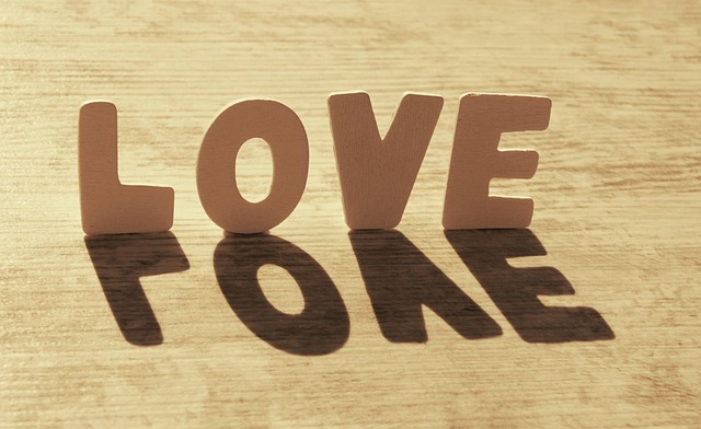 MBTI 연애심리 과학적 접근 관련 사진