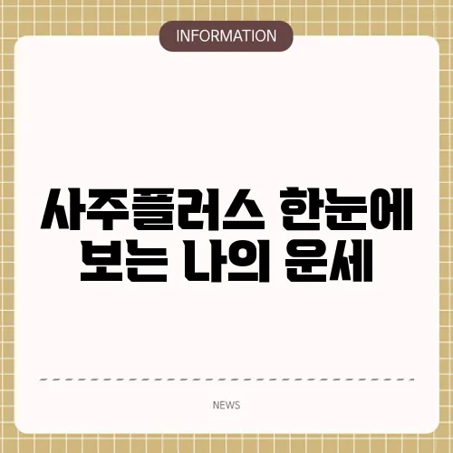 사주플러스 한눈에 보는 나의 운세