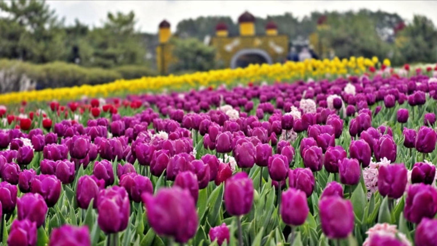 태안 가볼만한곳 관련 사진