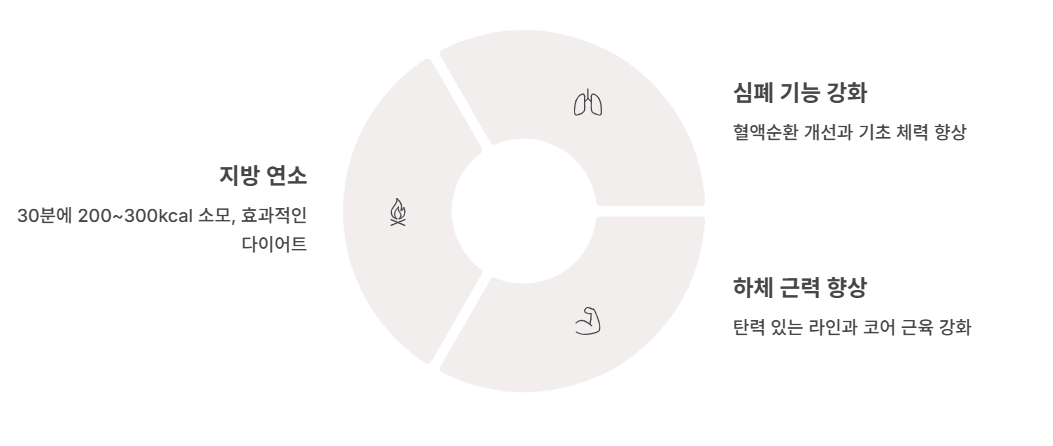 실내자전거 운동효과