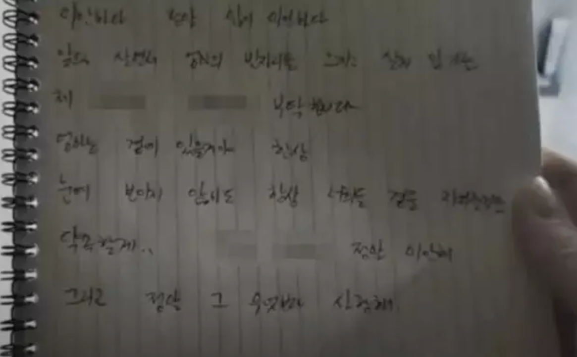 레이싱모델 BJ 임블리 임지혜 자살 뇌사 극단적 선택 사망 유서 현장 세자 갓성은 감성여울