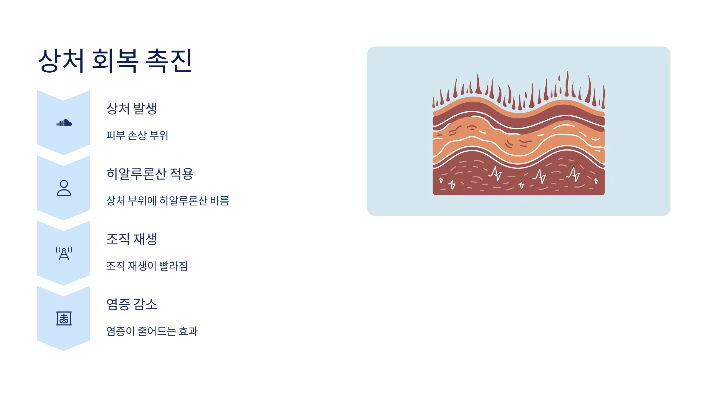 히알루론산과 관련된 사진입니다.