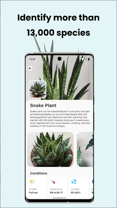 식물 이름 찾기 어플(PlantCam), AI 식물 식별, 꽃, 나무 인식 하기