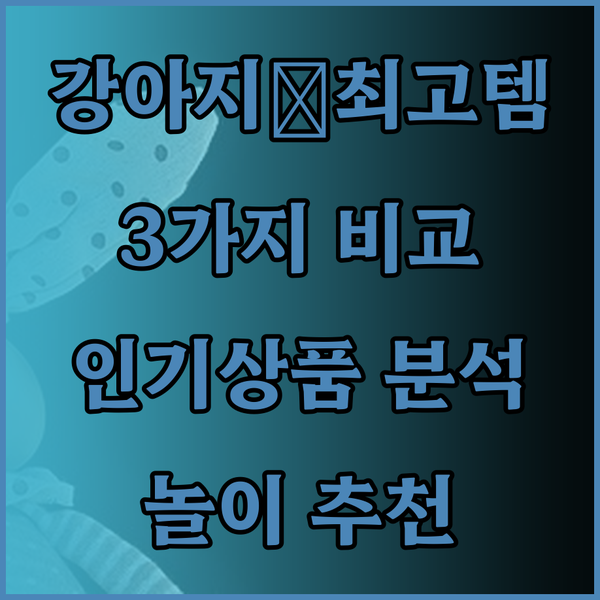 강아지와 함께 즐기는 테니스 공 놀이