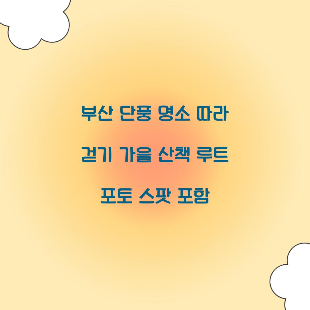 부산 단풍 명소