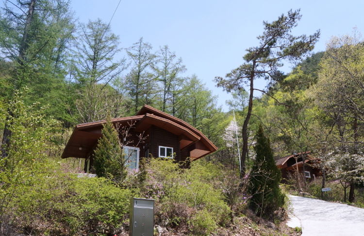 속리산 말티재 자연휴양림