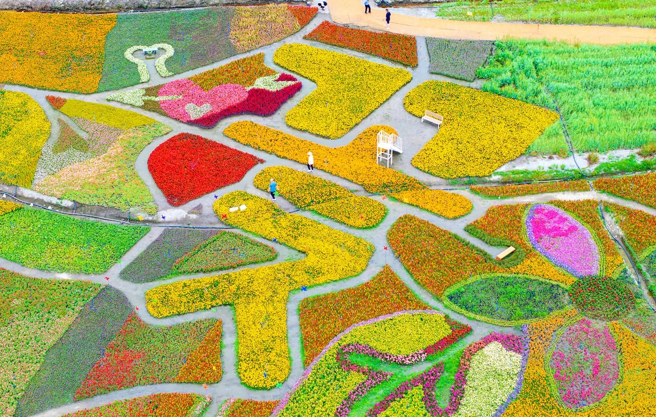 고창 맛집 베스트10 숨겨진 나만 아는 맛집_6