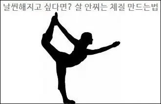 날씬해지고 싶다면 살 안찌는 체질 만드는법