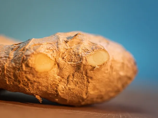 커피 필터로 생강즙 짜기