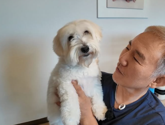 영화배우 손병호