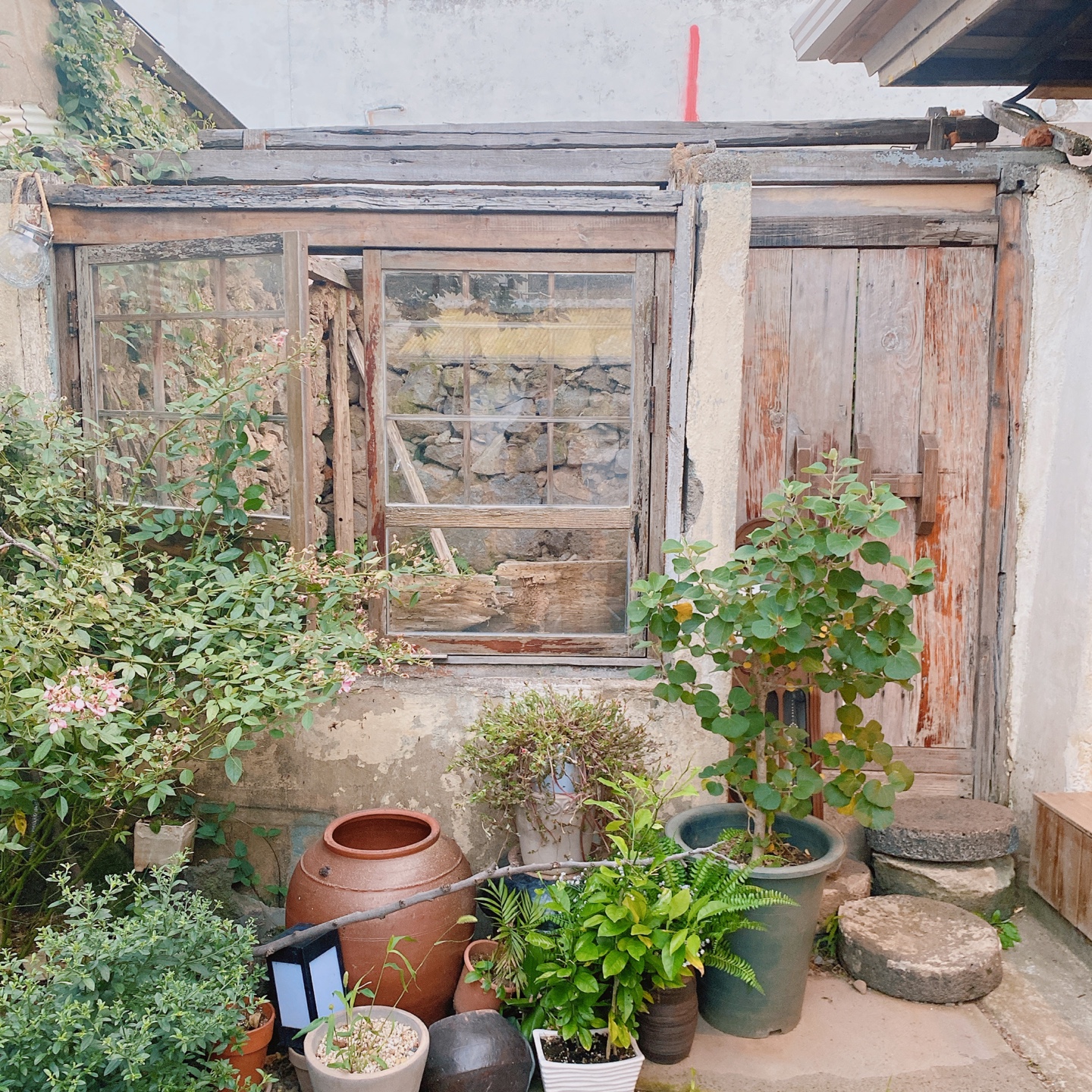 제주 동문시장 주택 구옥개조 북카페 무화과한입