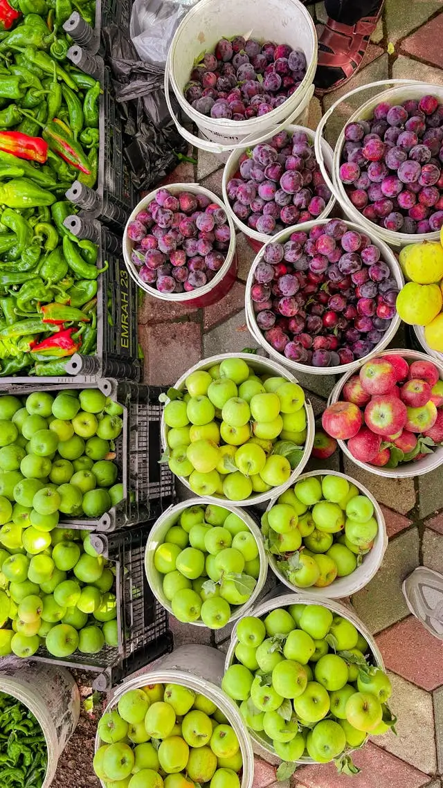 나에게 필요한 비타민은? 종류별 기능과 효과,대표식품은?