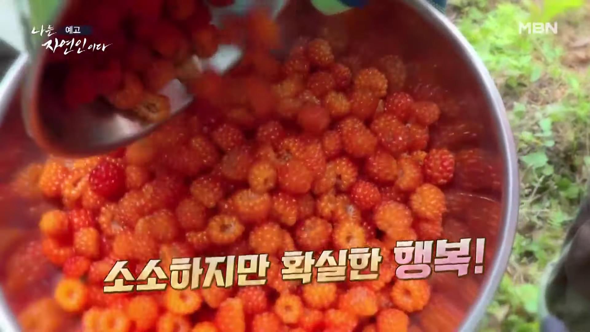 나는 자연인이다 낙상 사고 후유증, 산골 놀이터를 통해 회복, 산딸기 유기농 잼, 천마, 산삼 나눔, 출연료 기부, 키다리 아저씨 이제 착하게 삽니다 자연인 김기복 소개 및 이승윤 출연 560회회 다시보기