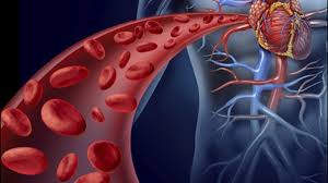 혈소판수치가 낮으면 일어나는 증상
