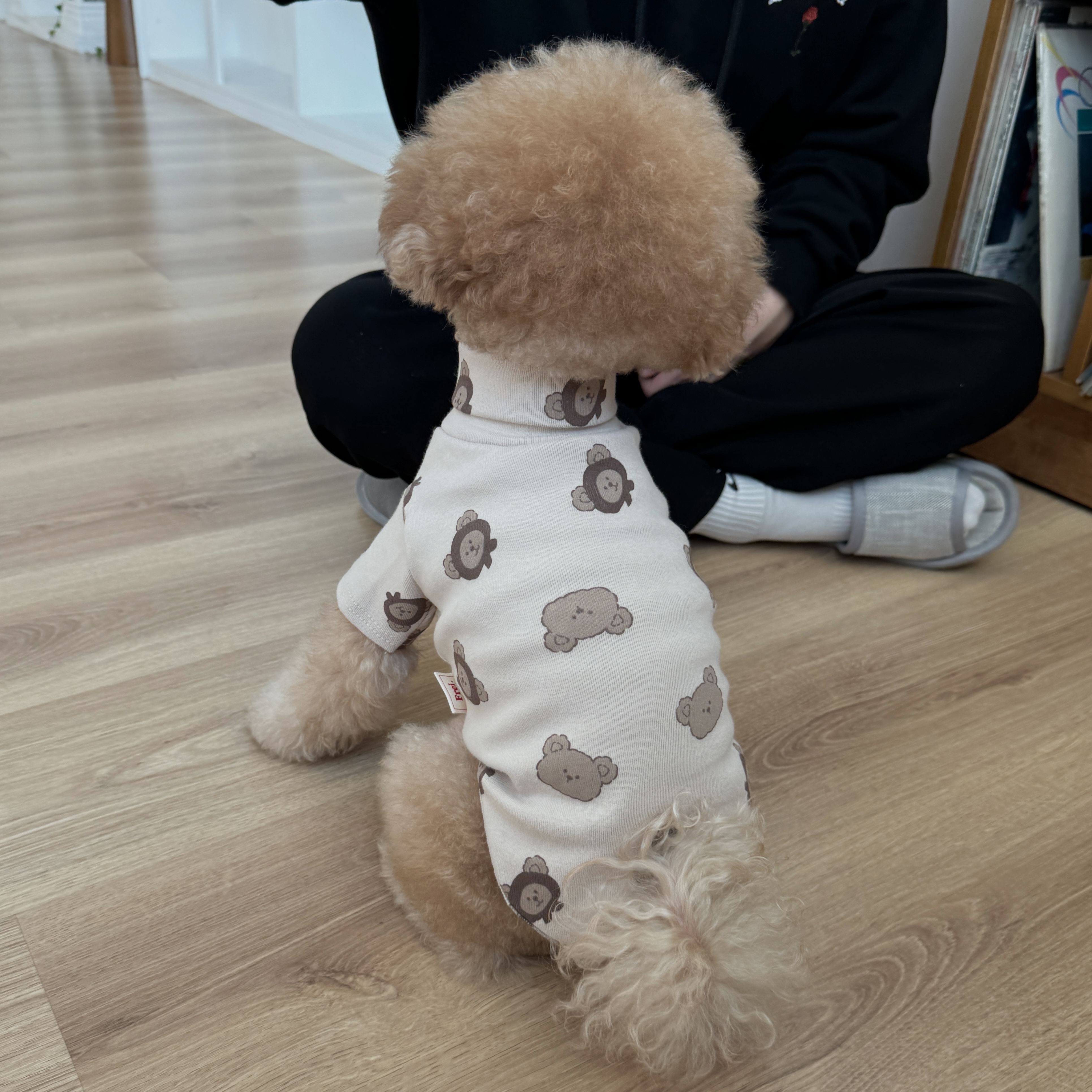 리니몽 강아지티셔츠