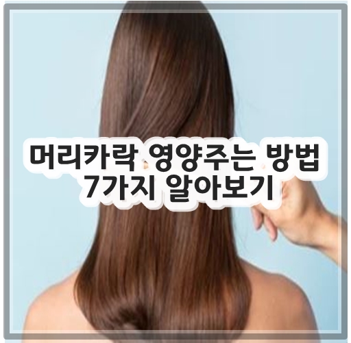 머리카락 영양주는 방법 7가지 알아보기