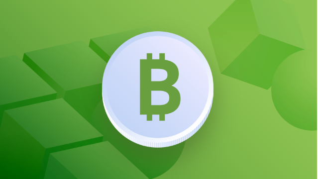 비트코인캐시 코인 관련사진