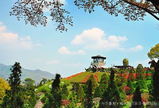 베어트리파크 철쭉제 봄과 철쭉