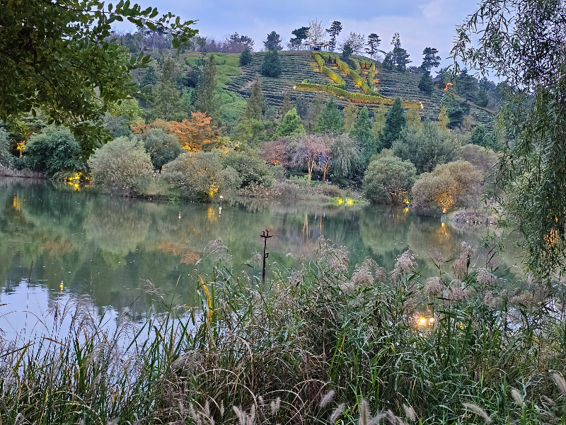 순천만 국가정원 내 호수 전경