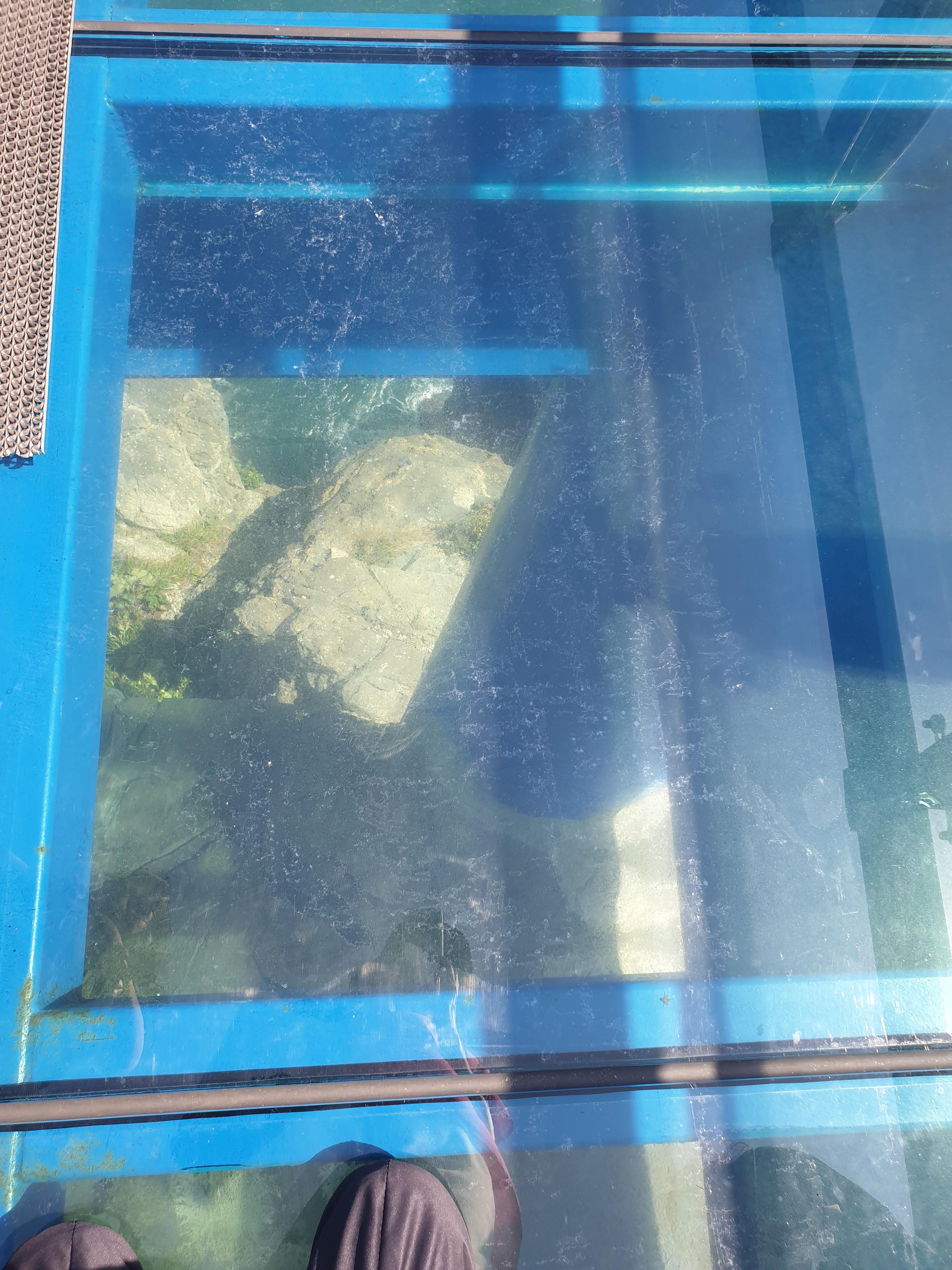 유리 전망대 35m 밑으로 펼쳐진 아찔한 바다 풍경