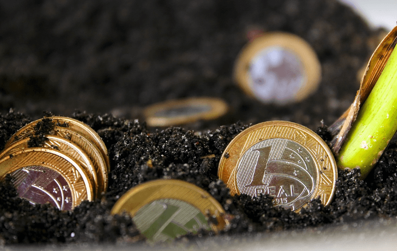 세종 지역화폐 사용처 총정리! 알뜰하게 쓰는 꿀팁까지