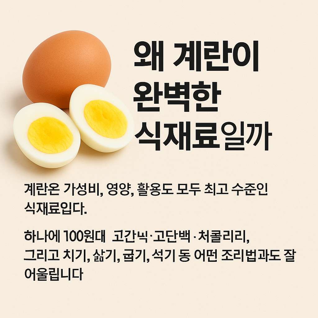 매끼 다른 요리로 즐기는 황금 식재료
