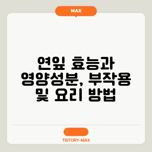 연잎 효능과 영양성분, 부작용 및 요리 방법