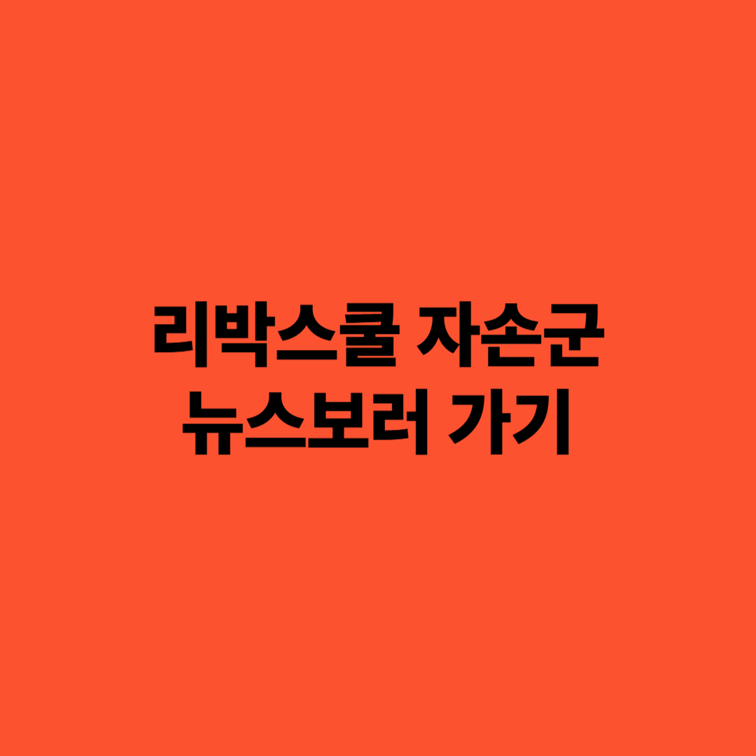 리박스쿨 자손군 간단정리 손효숙 늘봄학교