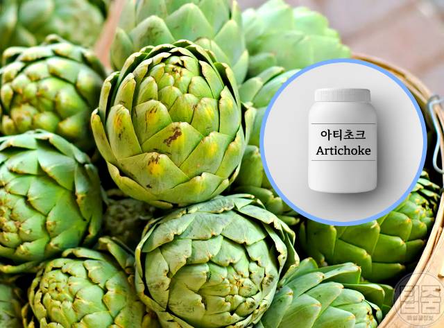 콜레스테롤 낮추는 영양제 추천 아티초크