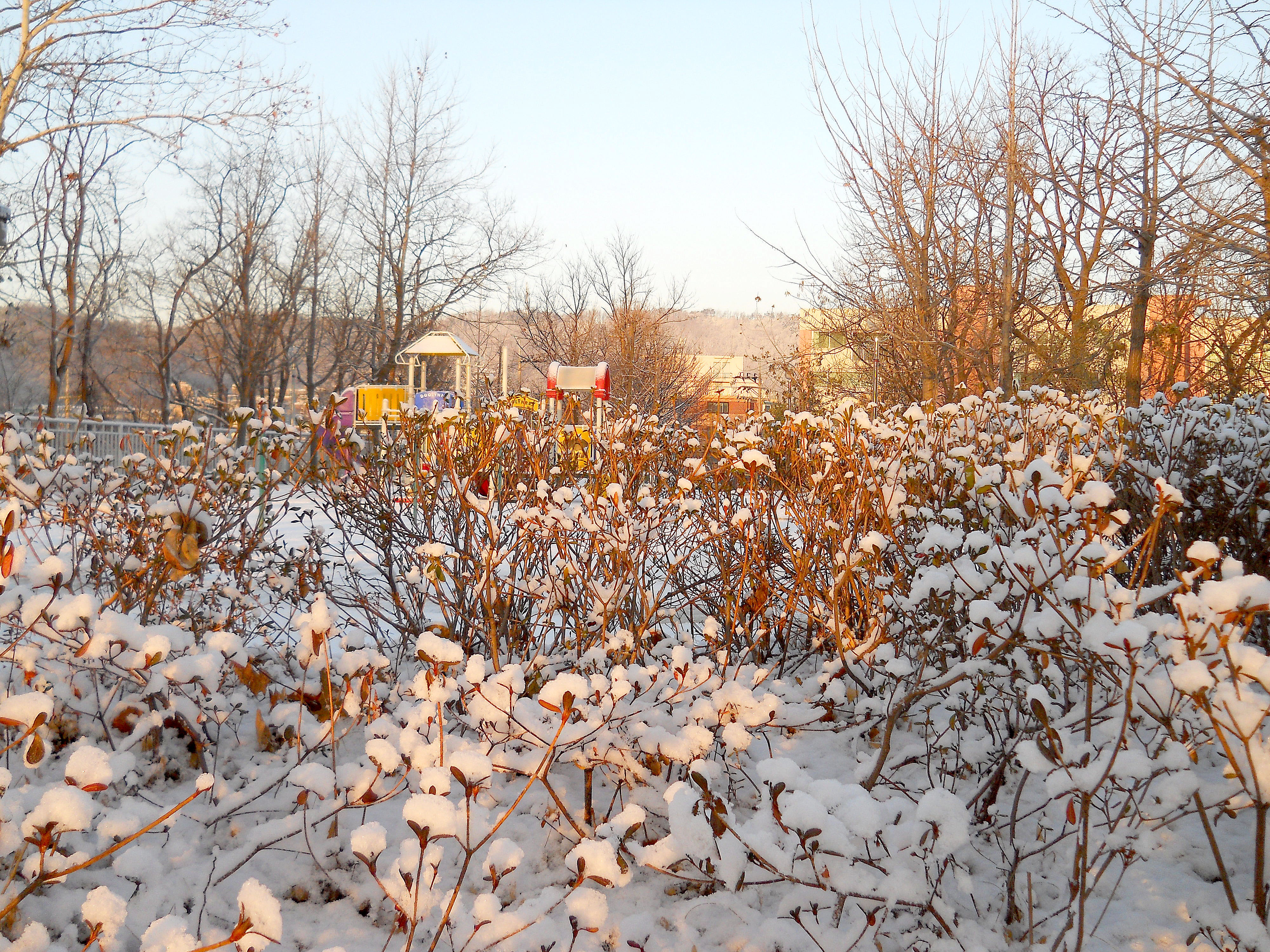 홍제동의 빛나는 아이들 홍빛나 고은산(Goeunsan Mountain)