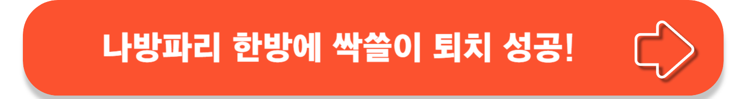 화장실 불청객 나방파리 완전박멸 꿀팁!