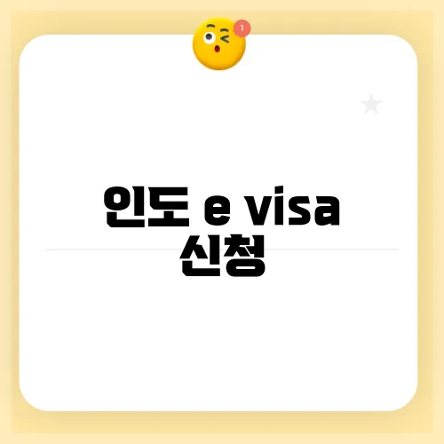 인도 e visa 신청