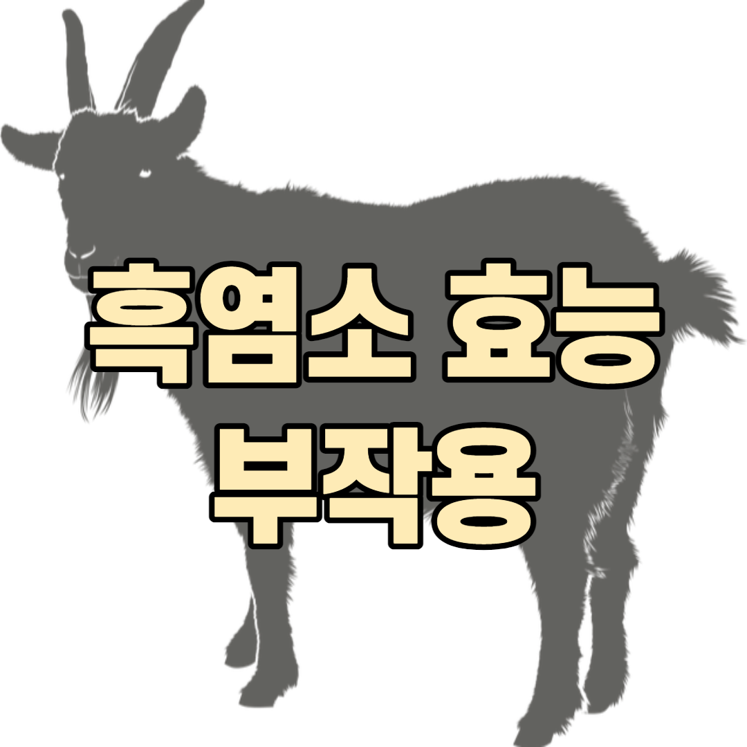 흑염소-그림-썸네일