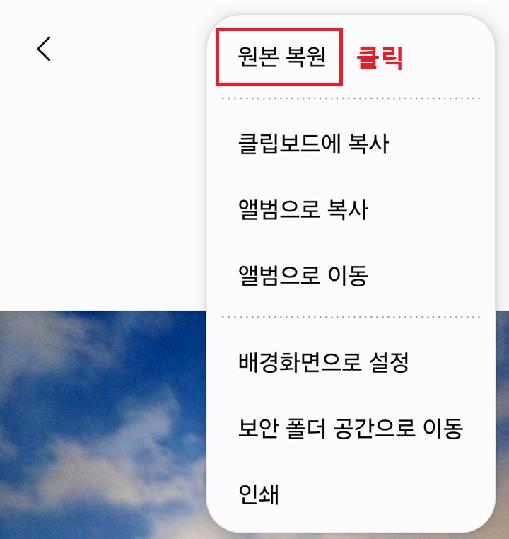 원복복원 메뉴 보임