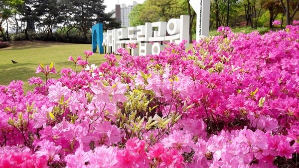 서대문독립공원(西大門獨立公園) 영산홍(映山紅)