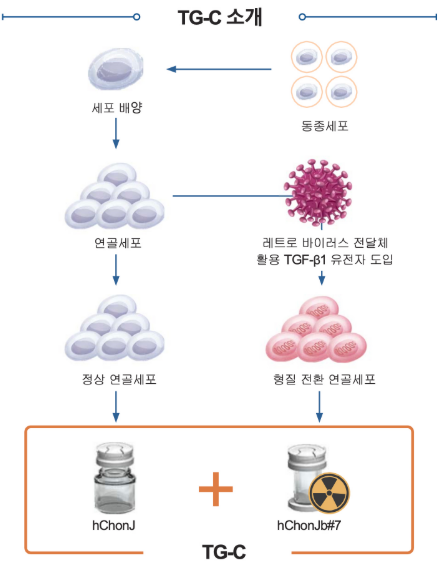 코오롱티슈진 주가 전망 급등 최신, 미국 임상 3상 기대와 주가 상승