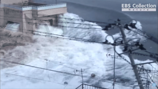 후쿠시마 원자력 폭발사고