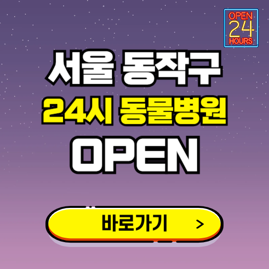 서울 동작구 24시 동물병원 진료하는 곳 ❘ 설날 휴일 야간 심야 문여는곳 찾기 ❘ 응급진료