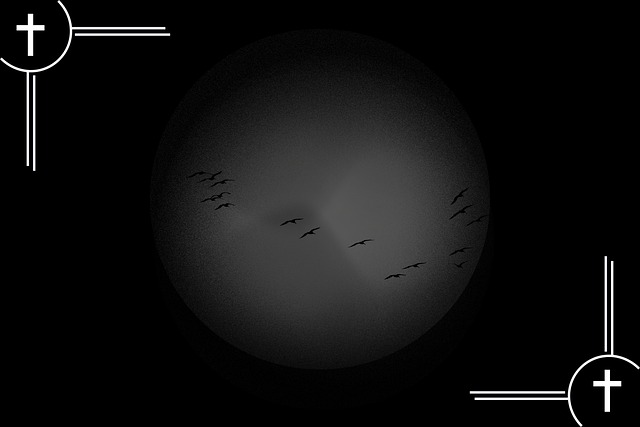 상조회사 해지방법