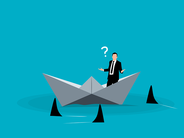 인지능력의 영역